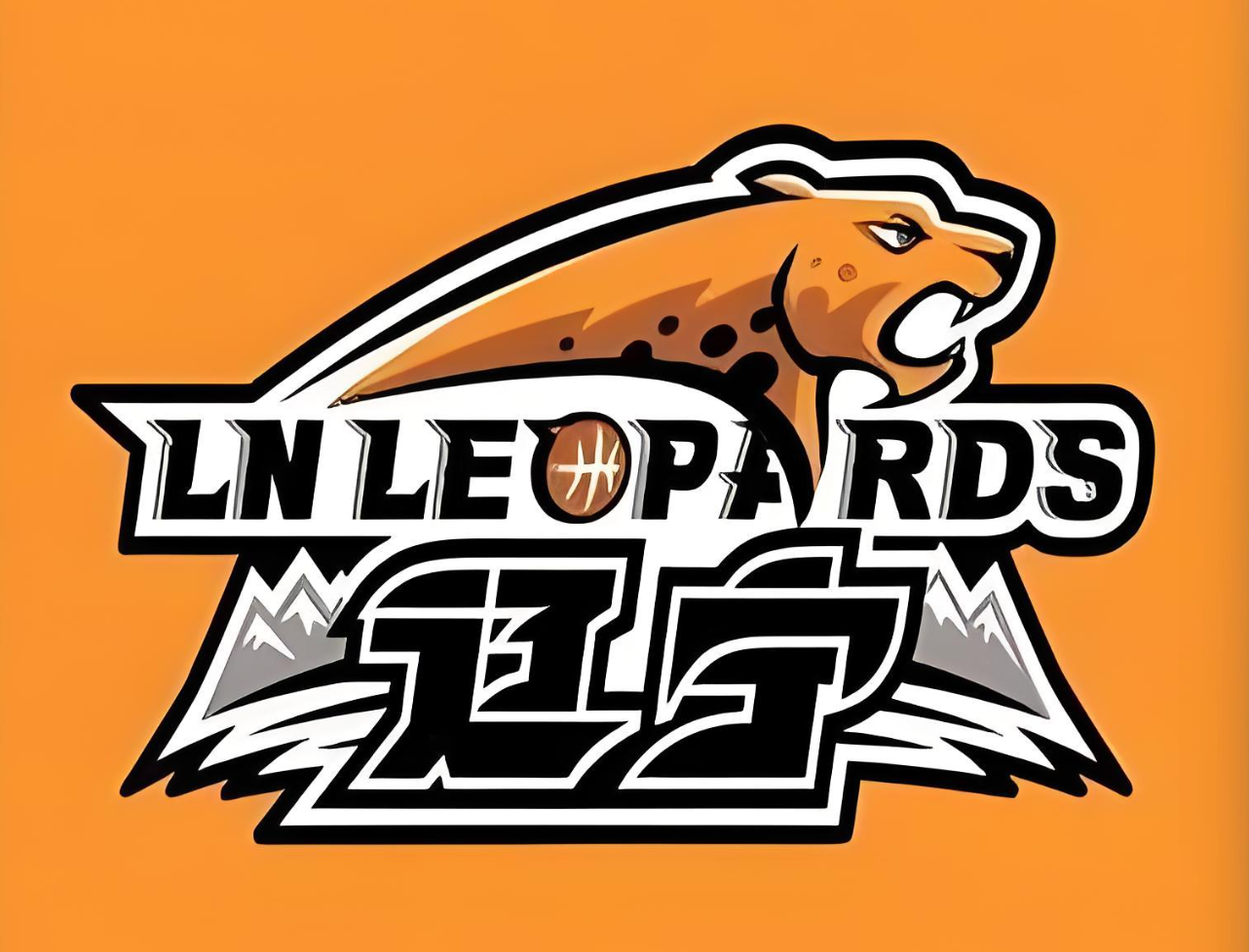 开云科技-从4连败到赢52分！就因为杨鸣下课？辽宁队给球迷留下4大疑惑